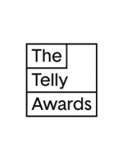 Telly Award – Diversità, Equità e Inclusione