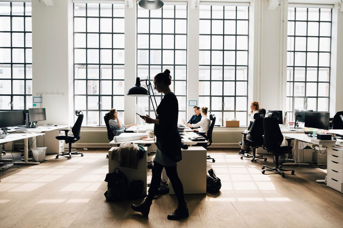 Hoja informativa de Cornerstone Transform